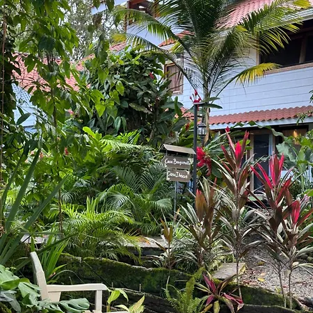 Chilamate Holiday House Puerto Viejo de Talamanca Exterior photo
