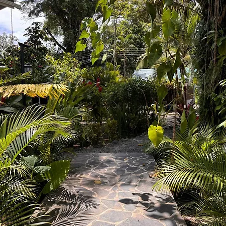 Chilamate Holiday House Puerto Viejo de Talamanca Exterior photo