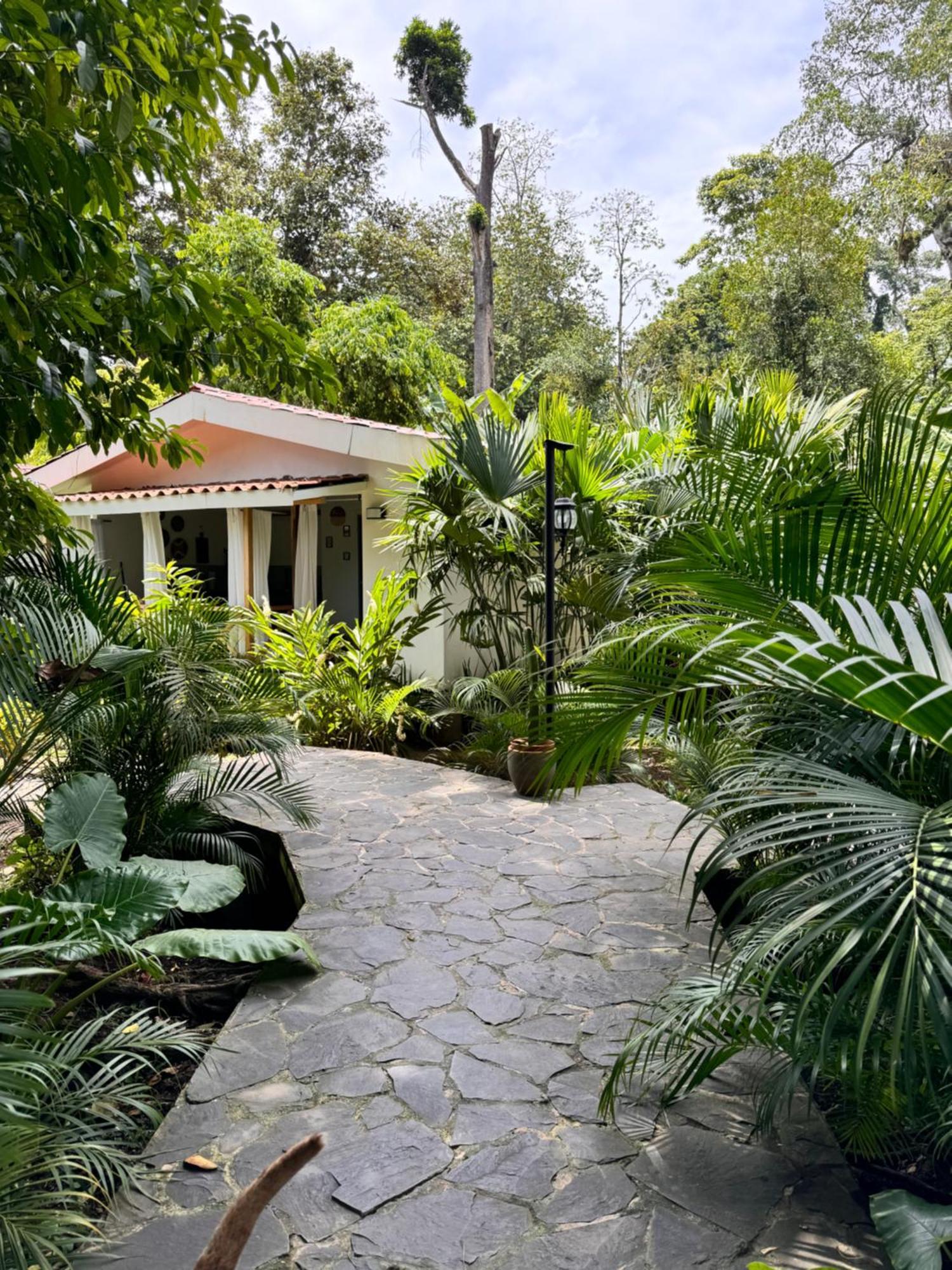 Chilamate House *